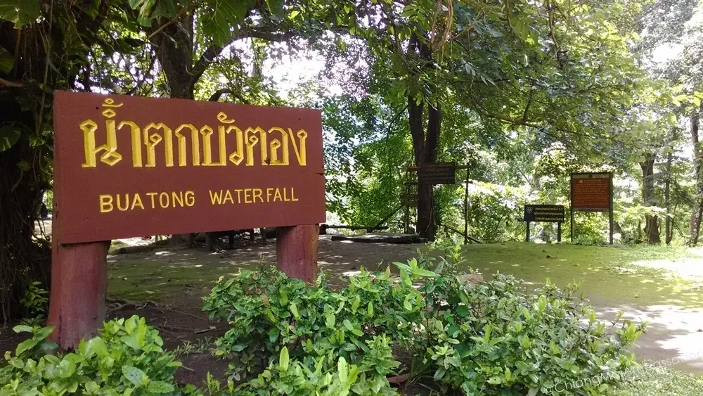 Bua Tong Sticky Waterfalls Chiang Mai limestone cascade you can climb