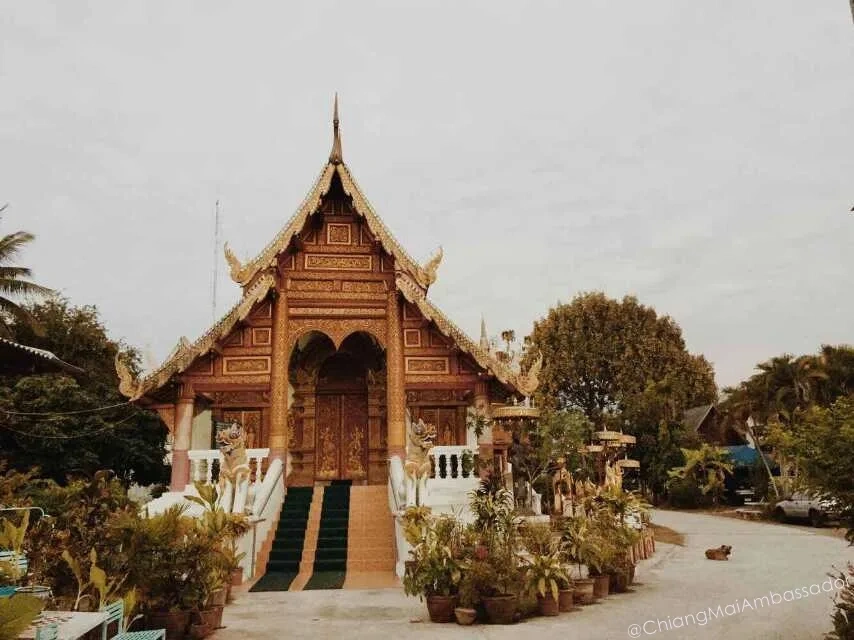 Health Insurance in Chiang Mai