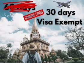 DTV Visa Guide